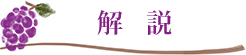 解説