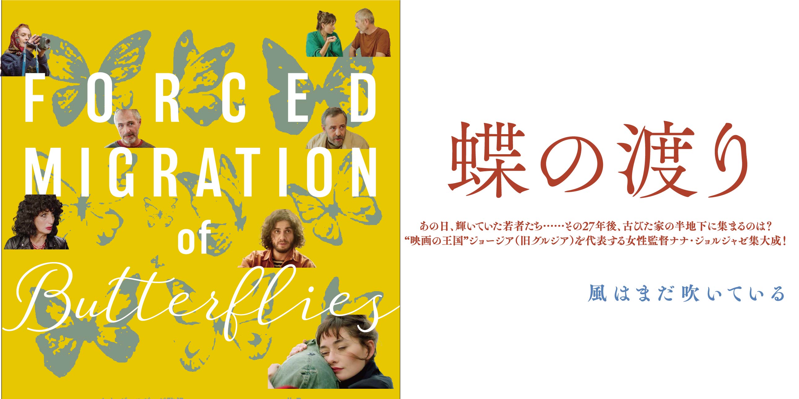 蝶の渡り”