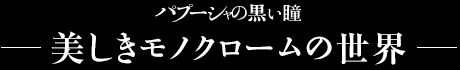 美しきモノクロームの世界